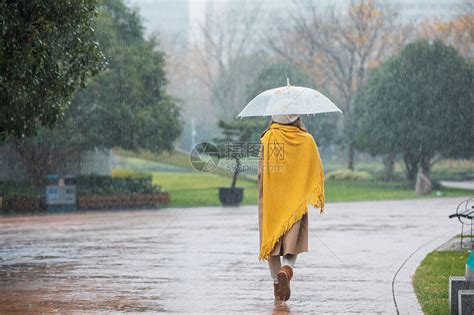 下雨的人|下雨的人